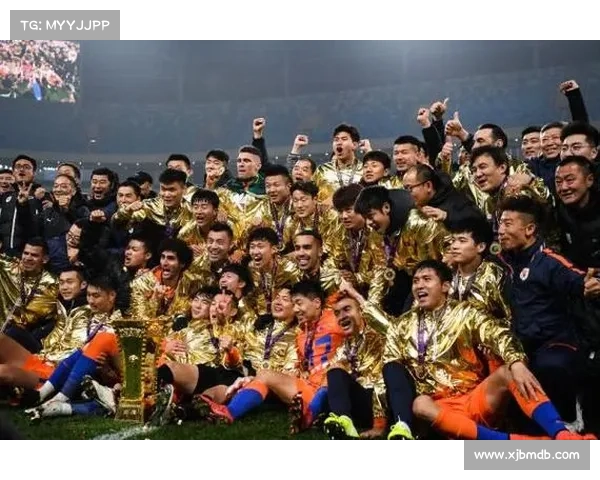 2017足协杯冠军_二〇一七年足球赛事深度回顾与全面分析