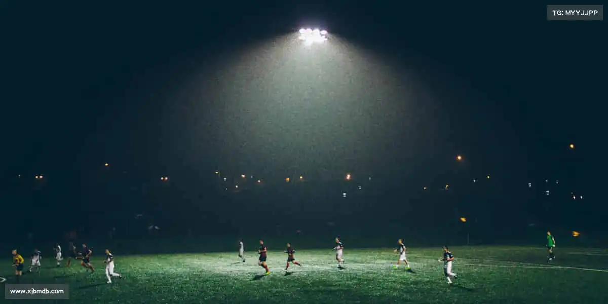 大红鹰dhy0033——💪突破极限，汗水见证每一步成长！